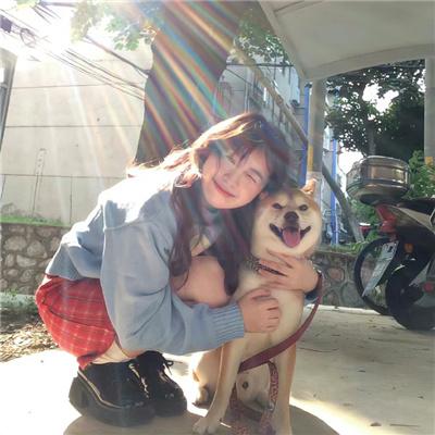 威尔与哈珀:老友公路游